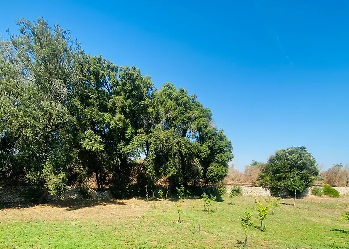 Κατάλυμα σε φάρμα Agricola Chiani