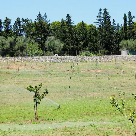 Alojamento de Turismo Rural Agricola Chiani *