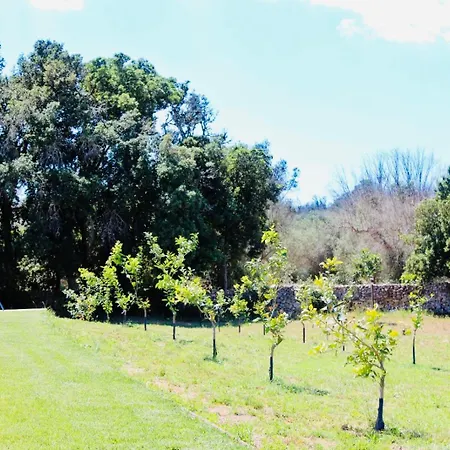 Alojamento de Turismo Rural Agricola Chiani *