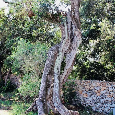 Agricola Chiani Alojamento de Turismo Rural