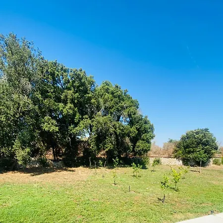 Alojamento de Turismo Rural Agricola Chiani