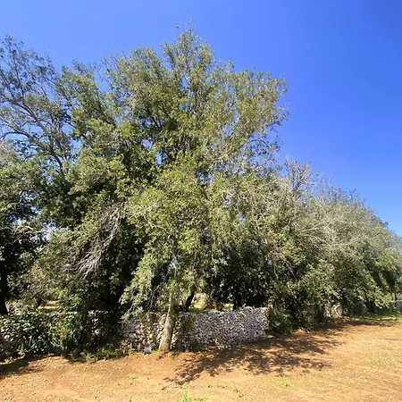 Agricola Chiani Alojamento de Turismo Rural