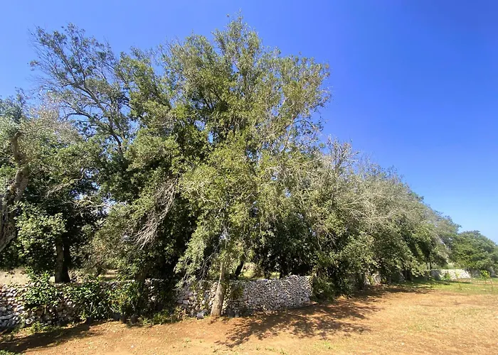 Agricola Chiani בית חווה